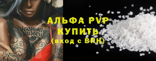 прущие крисы Ельня