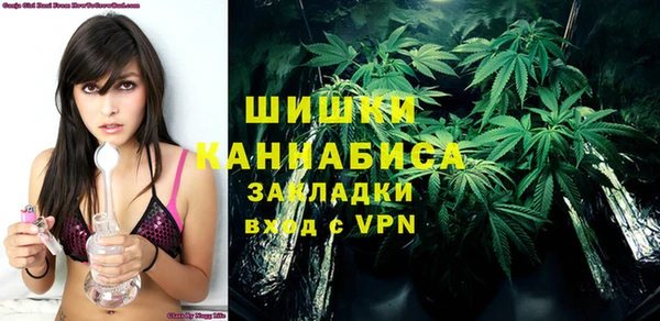 прущие крисы Ельня
