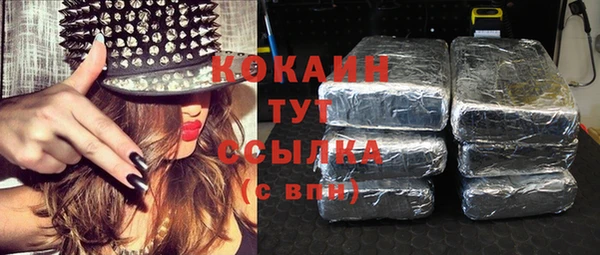прущие крисы Ельня