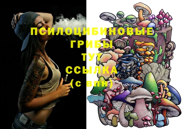 стафф Елабуга