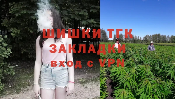 прущие крисы Ельня