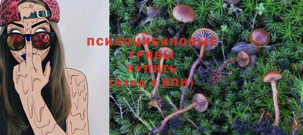 марки lsd Елизово