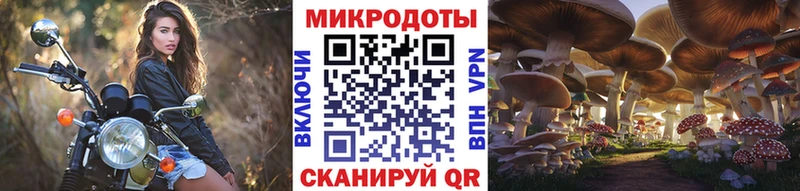 Галлюциногенные грибы Psilocybine cubensis Калач